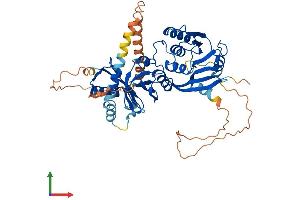 AlphaFold protein structure predicition of Human Recombinant THUMPD2 Protein, UniprotID Q9BTF0 (THUMPD2 Protein (AA 1-503) (His tag))