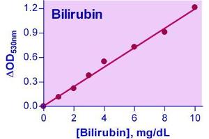 Biochemical Assay (BCA) image for Bilirubin Assay Kit (ABIN1000256) (Bilirubin Assay Kit)