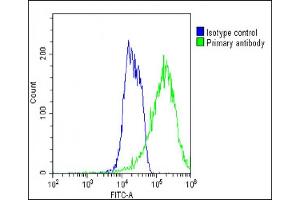 Overlay histogram showing MCF-7 cells stained with (ABIN1945085 and ABIN2838547)(green line). (ADRA1D antibody  (N-Term))