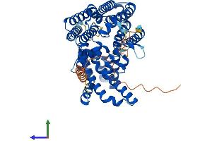 AlphaFold protein structure predicition of Human Recombinant MBOAT2 Protein, UniprotID Q6ZWT7 (MBOAT2 Protein (AA 1-520) (His tag))