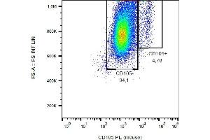 Flow cytometry analysis (surface staining) of CD105 in murine bone marrow with anti-CD105 (MJ7/18) PE. (Endoglin antibody  (PE))