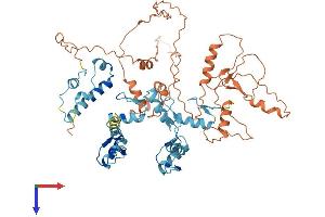 Protein Structure (PS) image for Zinc Finger Protein 248 (ZNF248) (AA 1-579) protein (His tag) (ABIN7545539)