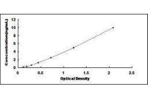 Cholinergic Receptor, Muscarinic 2 (CHRM2) ELISA Kit