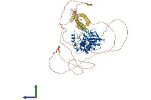 Protein Structure (PS) image for Myosin Light Chain Kinase 3 (MYLK3) (AA 1-795) protein (His tag) (ABIN7563727)