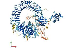 AlphaFold protein structure predicition of Mouse Recombinant Flii Protein, UniprotID Q9JJ28