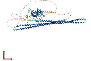 AlphaFold protein structure predicition of Mouse Recombinant Stk10 Protein, UniprotID O55098 (STK10-A Protein (AA 1-966) (His tag))