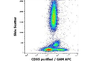 Flow cytometry surface staining pattern of human peripheral whole blood stained using anti-human CD95 (EOS9.