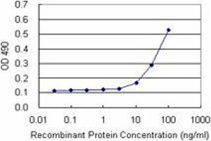 Sandwich ELISA detection sensitivity ranging from 10 ng/mL to 100 ng/mL. (CBX5 (Human) Matched Antibody Pair)