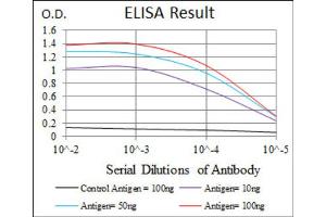 Red: Control Antigen (100ng) ; Purple: Antigen (10ng) ; Green: Antigen (50ng) ; Blue: Antigen (100ng). (FZD5 antibody  (AA 151-217))