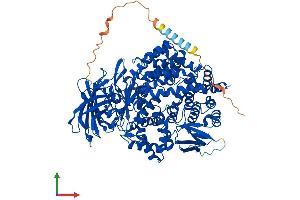 AlphaFold protein structure predicition of Mouse Recombinant Enpep Protein, UniprotID P16406 (ENPEP Protein (AA 1-945) (His tag))