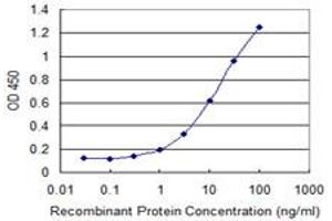 Detection limit for recombinant GST tagged RAB22A is 0. (RAB22A antibody  (AA 1-194))