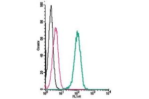 Cell surface detection of MC3R by indirect flow cytometry in live intact human  monocytic leukemia cells: + goat-anti-rabbit-FITC.