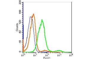 CD200R1L antibody  (AA 151-250) (Alexa Fluor 647)