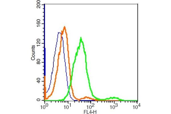 CD200R1L antibody  (AA 151-250) (AbBy Fluor® 647)