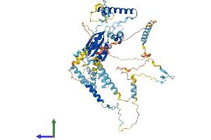 Protein Structure (PS) image for PRP3 Pre-mRNA Processing Factor 3 Homolog (PRPF3) (AA 1-683) protein (His tag) (ABIN7560240)