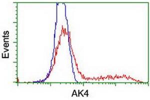 HEK293T cells transfected with either RC220572 overexpress plasmid (Red) or empty vector control plasmid (Blue) were immunostained by anti-AK4 antibody (ABIN2454651), and then analyzed by flow cytometry. (AK4 antibody)