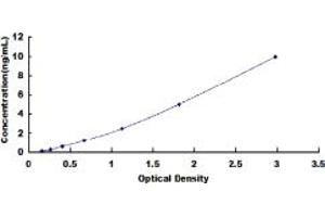 Typical standard curve (PLOD1 ELISA Kit)