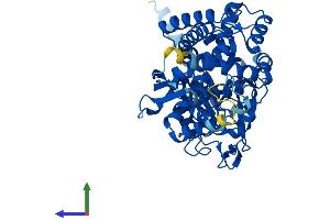 AlphaFold protein structure predicition of Mouse Recombinant Ptgis Protein, UniprotID O35074
