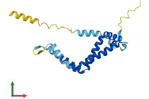 AlphaFold protein structure predicition of Human Recombinant RABAC1 Protein, UniprotID Q9UI14