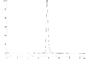 Size-exclusion chromatography-High Pressure Liquid Chromatography (SEC-HPLC) image for CD40 (CD40) (AA 21-193) protein (His tag) (ABIN7274177)