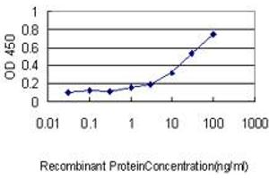 Detection limit for recombinant GST tagged STAMBP is approximately 0. (STAMBP antibody  (AA 1-424))