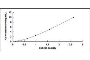 Typical standard curve (NADPH Oxidase 4 ELISA Kit)