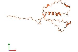 AlphaFold protein structure predicition of Human Recombinant BPESC1 Protein, UniprotID Q9GZL8 (BPESC1 Protein (AA 1-116) (His tag))