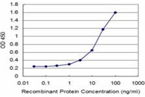 Detection limit for recombinant GST tagged SPAG6 is approximately 1ng/ml as a capture antibody. (SPAG6 antibody  (AA 1-458))