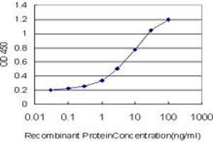 Detection limit for recombinant GST tagged PLXDC1 is approximately 0. (PLXDC1 antibody  (AA 313-421))