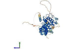 AlphaFold protein structure predicition of Human Recombinant RIPK2 Protein, UniprotID O43353 (RIPK2 Protein (AA 1-540) (His tag))