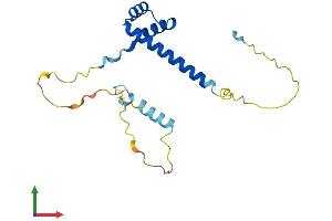 Protein Structure (PS) image for Ladybird Homeobox 2 (LBX2) (AA 1-195) protein (His tag) (ABIN7556285)
