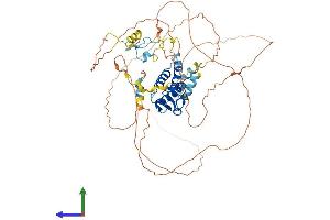 AlphaFold protein structure predicition of Mouse Recombinant Msl2 Protein, UniprotID Q69ZF8