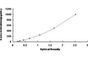 Typical standard curve (KLF1 ELISA Kit)