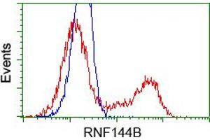 HEK293T cells transfected with either RC209302 overexpress plasmid(Red) or empty vector control plasmid(Blue) were immunostained by anti-RNF144B antibody(TA500705), and then analyzed by flow cytometry.