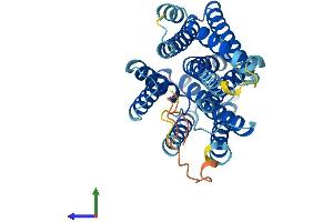 AlphaFold protein structure predicition of Human Recombinant XKR9 Protein, UniprotID Q5GH70 (XKR9 Protein (AA 1-373) (His tag))