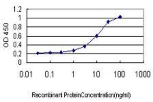 Detection limit for recombinant GST tagged INPPL1 is approximately 0. (INPPL1 antibody  (AA 1159-1258))