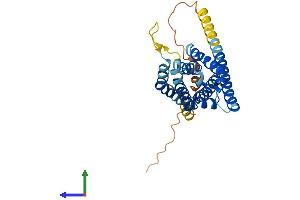 AlphaFold protein structure predicition of Mouse Recombinant Hacd1 Protein, UniprotID Q9QY80 (PTPLA Protein (AA 1-281) (His tag))