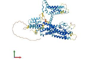 Protein Structure (PS) image for Two Pore Segment Channel 2 (TPCN2) (AA 1-752) protein (His tag) (ABIN7555840)