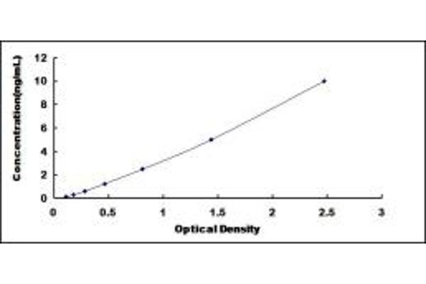 CAPZB ELISA Kit