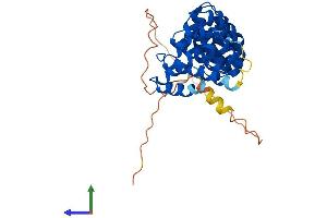 AlphaFold protein structure predicition of Human Recombinant ARMC10 Protein, UniprotID Q8N2F6 (ARMC10 Protein (AA 1-343) (His tag))