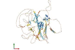 AlphaFold protein structure predicition of Human Recombinant GIGYF1 Protein, UniprotID O75420 (GIGYF1 Protein (AA 1-1035) (His tag))