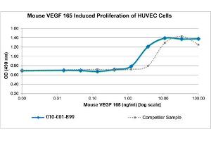 SDS-PAGE (SDS) image for Vascular Endothelial Growth Factor A (VEGFA) protein (ABIN6700872)