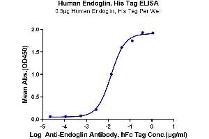 Immobilized Human Endoglin, His Tag at 5 μg/mL (100 μL/well) on the plate. (Endoglin Protein (ENG) (His-Avi Tag))