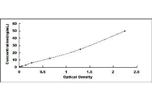 Typical standard curve (XDH ELISA Kit)
