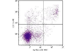 BALB/c mouse splenocytes were stained with Rat Anti-Mouse CD11b-PE. (CD11b antibody  (PE))