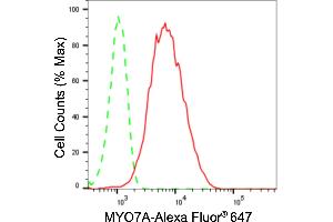 Flow cytometric analysis of MYO7A expression in HepG2 cells using MYO7A antibody (ABIN7799524), 1:2,000). (Recombinant Myosin VIIA antibody)