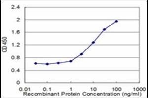 ELISA image for anti-N-Acylsphingosine Amidohydrolase (Acid Ceramidase) 1 (ASAH1) (AA 25-125) antibody (ABIN782337) (ASAH1 antibody  (AA 25-125))