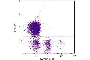 Chicken peripheral blood lymphocytes were stained with Mouse Anti-Chicken Lambda-FITC. (Mouse anti-Chicken lambda Antibody (FITC))