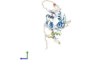 Protein Structure (PS) image for Zinc Finger Protein 669 (ZNF669) (AA 1-464) protein (His tag) (ABIN7545485)