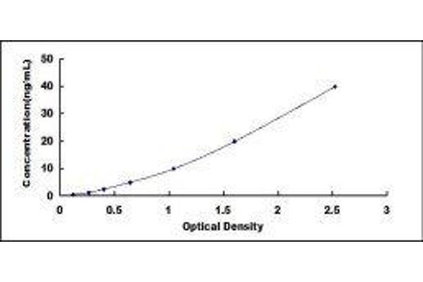 Myoglobin ELISA Kit